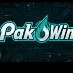 PakOwin Game